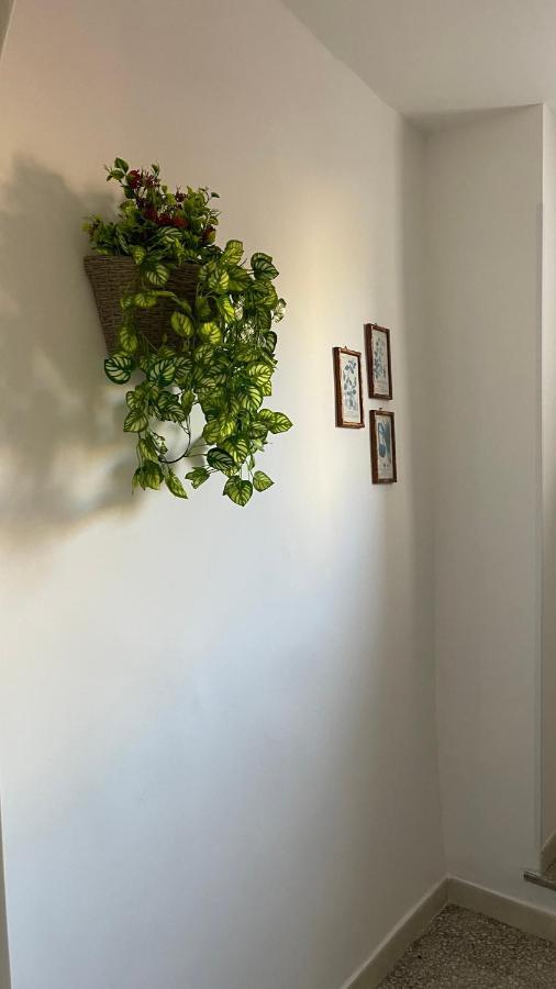 Santa Lucia Affittacamere Lamezia Terme Dış mekan fotoğraf